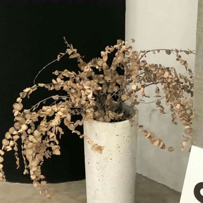 Furry插画素材分享FurryQQ群